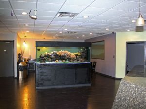 emerald-coast-inn-hotel-okaloosa-island