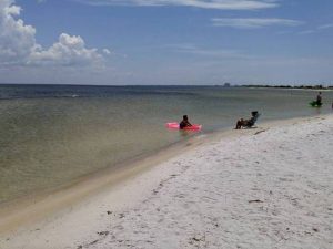 Gulf Islands National Sea S Okaloosa Island Gulf Island National Seas Beach