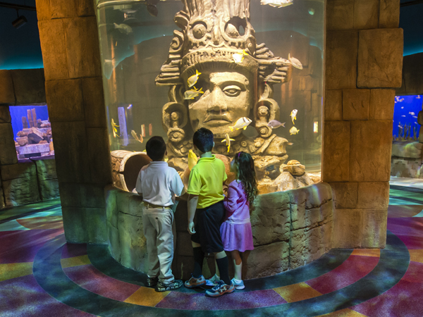 Great Maya Reef Exhibit Great Maya Reef Exhibit